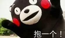 圈内爆料熊本熊,揭秘网红萌物背后的爆红传奇