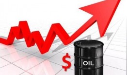 柴油最新爆料新闻消息今天,最新爆料揭示行业变革动向
